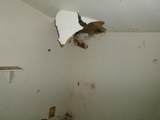 5730 Greene Street - Photo 3