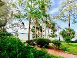 225 Tropical Trail - Photo 12