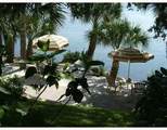 225 Tropical Trail - Photo 38