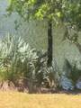 2161 Fern Park Drive - Photo 27