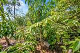 12935 51st Court - Photo 53