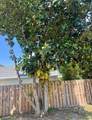 889 Nichols Terrace - Photo 21