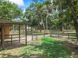 1293 Heather Terrace - Photo 73