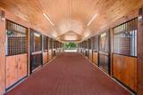 14883 Equestrian Way - Photo 8