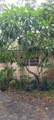812 Garden Court - Photo 3
