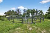 16229 Rustic Rd Road - Photo 85