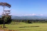 000000 Quintas Berninas - Photo 4