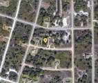 1029 Iris Street - Photo 1