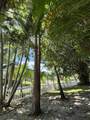 2802 4th Street - Photo 37