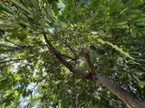 2802 4th Street - Photo 38