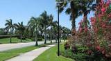 9938 Galleon Drive - Photo 35