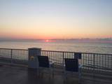 3546 Ocean Boulevard - Photo 40