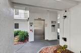 5153 Floria Drive - Photo 38