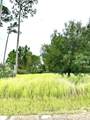 10615 Sugar Pine Drive - Photo 4