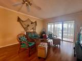 3154 Via Poinciana - Photo 9