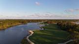 1737 Buttonbush Circle - Photo 85