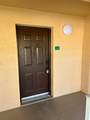 151 Palm - Photo 4