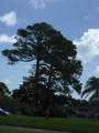 1225 21st Street - Photo 64
