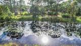6885 Orchid Tree Drive - Photo 63