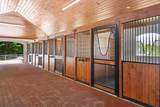 14883 Equestrian Way - Photo 11