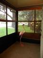 77 Via De Casas Norte - Photo 38