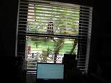 77 Via De Casas Norte - Photo 45