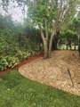 11287 Vivero Avenue - Photo 41