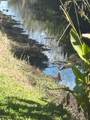 1848 Via Castello - Photo 73