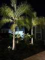 12408 Banner Court - Photo 47