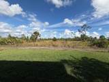 10120 Timber Creek Way - Photo 31