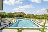 179 Via Terra Bella - Photo 53