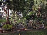 1280 Surf Road - Photo 11