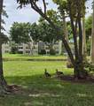 14623 Bonaire Boulevard - Photo 15