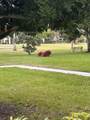 6698 10th Ave Avenue - Photo 30
