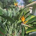 1167 Egret Circle - Photo 19