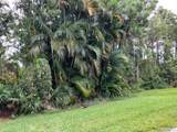 652 Munjack Cove - Photo 60