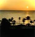 3400 Ocean Boulevard - Photo 50