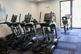 7290 Kinghurst Drive - Photo 44