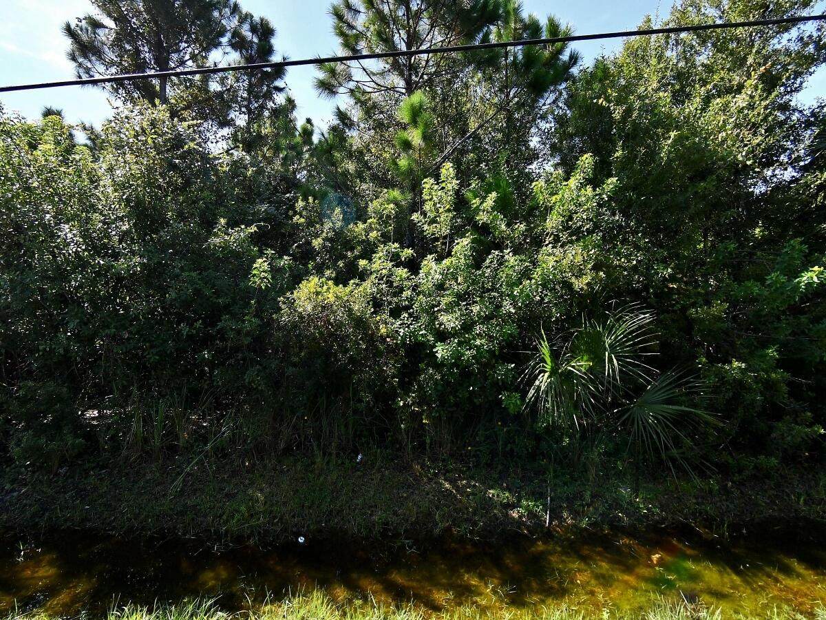 0 Palmetto Drive - Photo 1