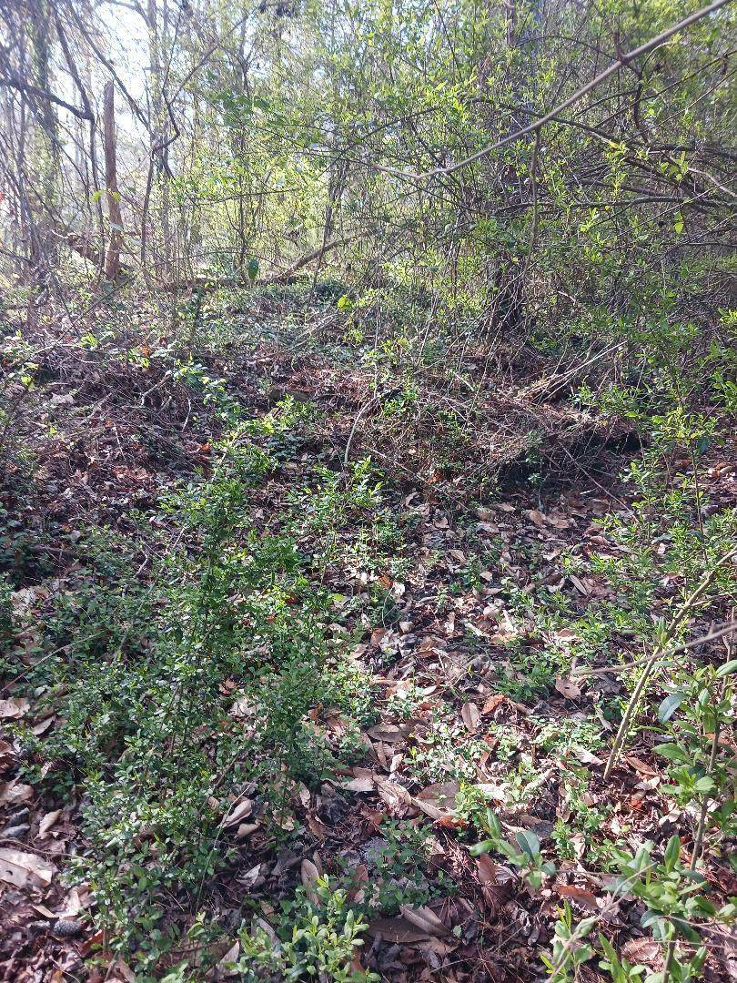000 158 Lane - Photo 1