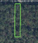 2571 Hammock Road - Photo 1