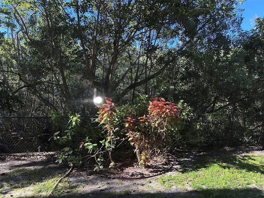 529 Sheridan Street - Photo 1