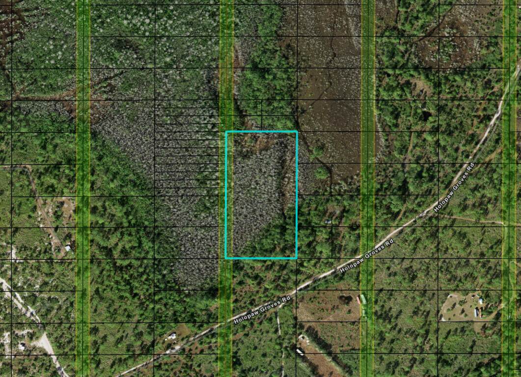 0 Holopaw Groves Road - Photo 1