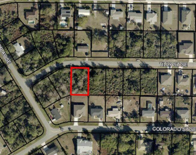1618 Tilly Street - Photo 1