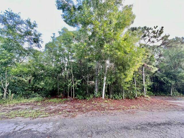 Xxx 182nd Road - Photo 1