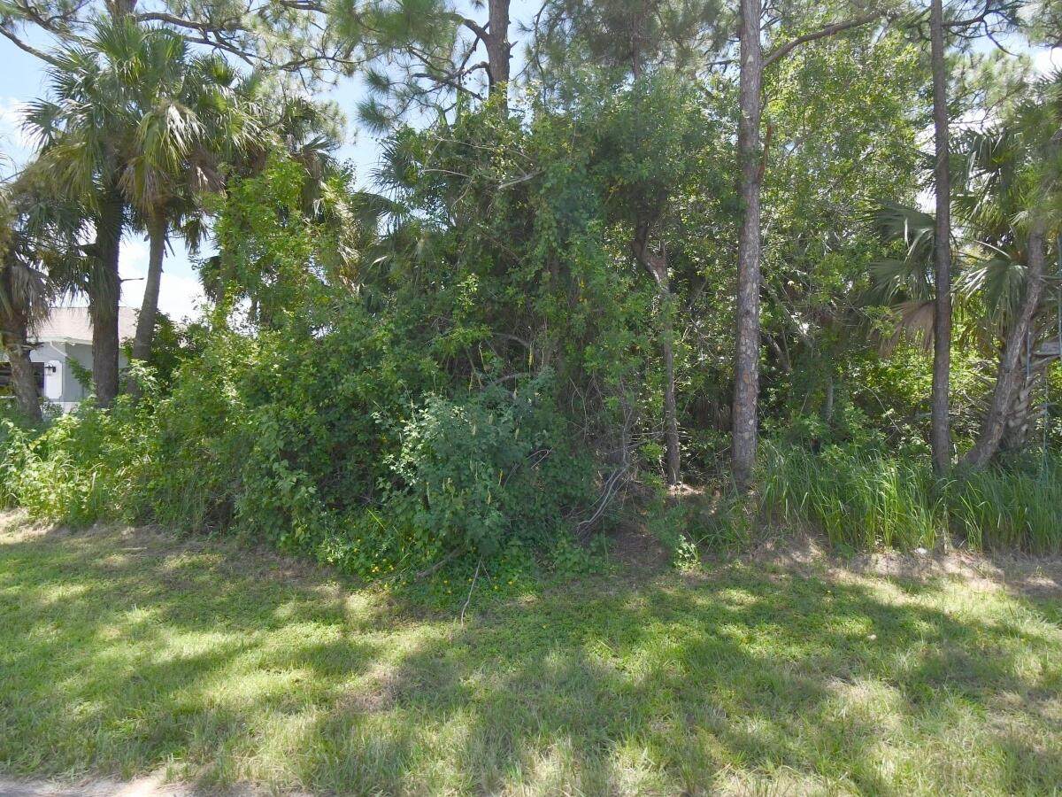 2449 Altara Street - Photo 1