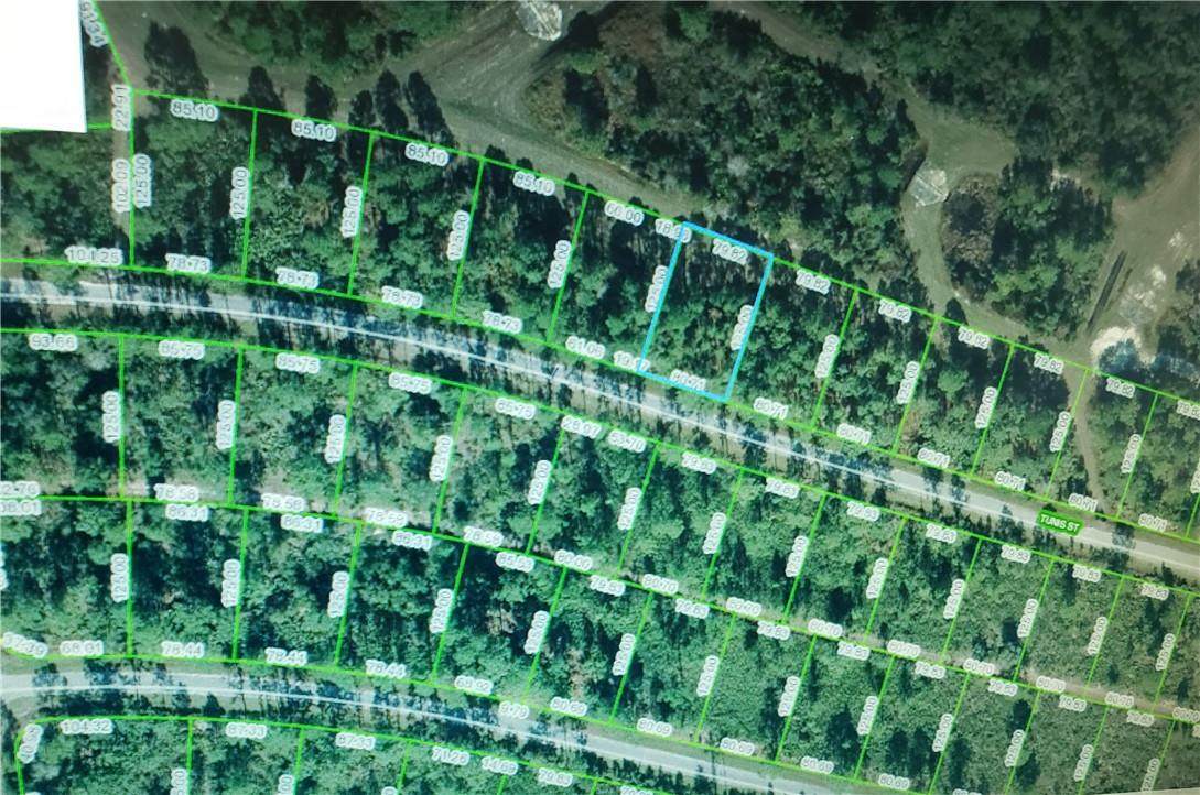 8644 Tunis - Photo 1