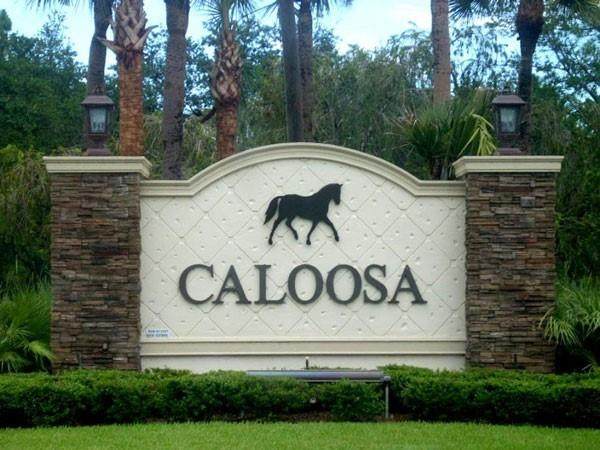 13945 Coco Plum Road - Photo 1