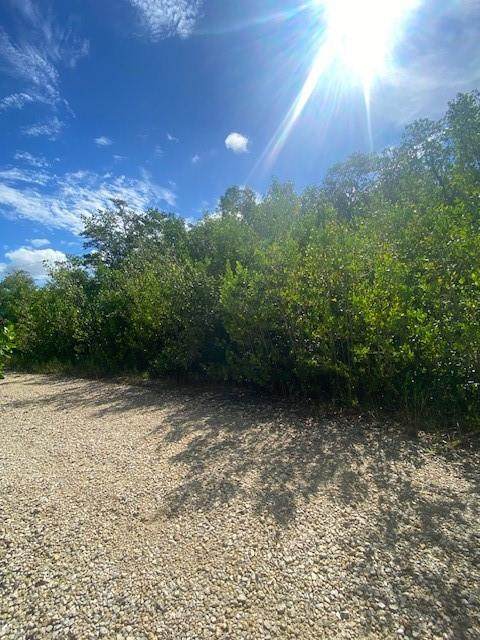78 Otter Avenue - Photo 1