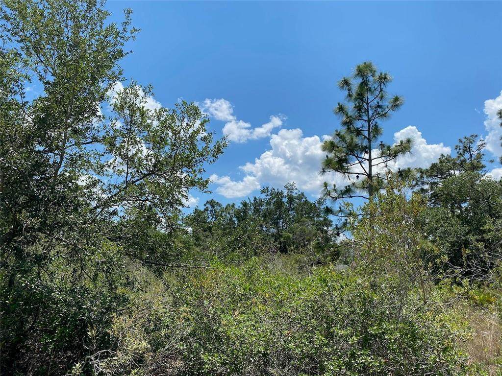 Lot 24 Indian Lake Drive - Photo 1